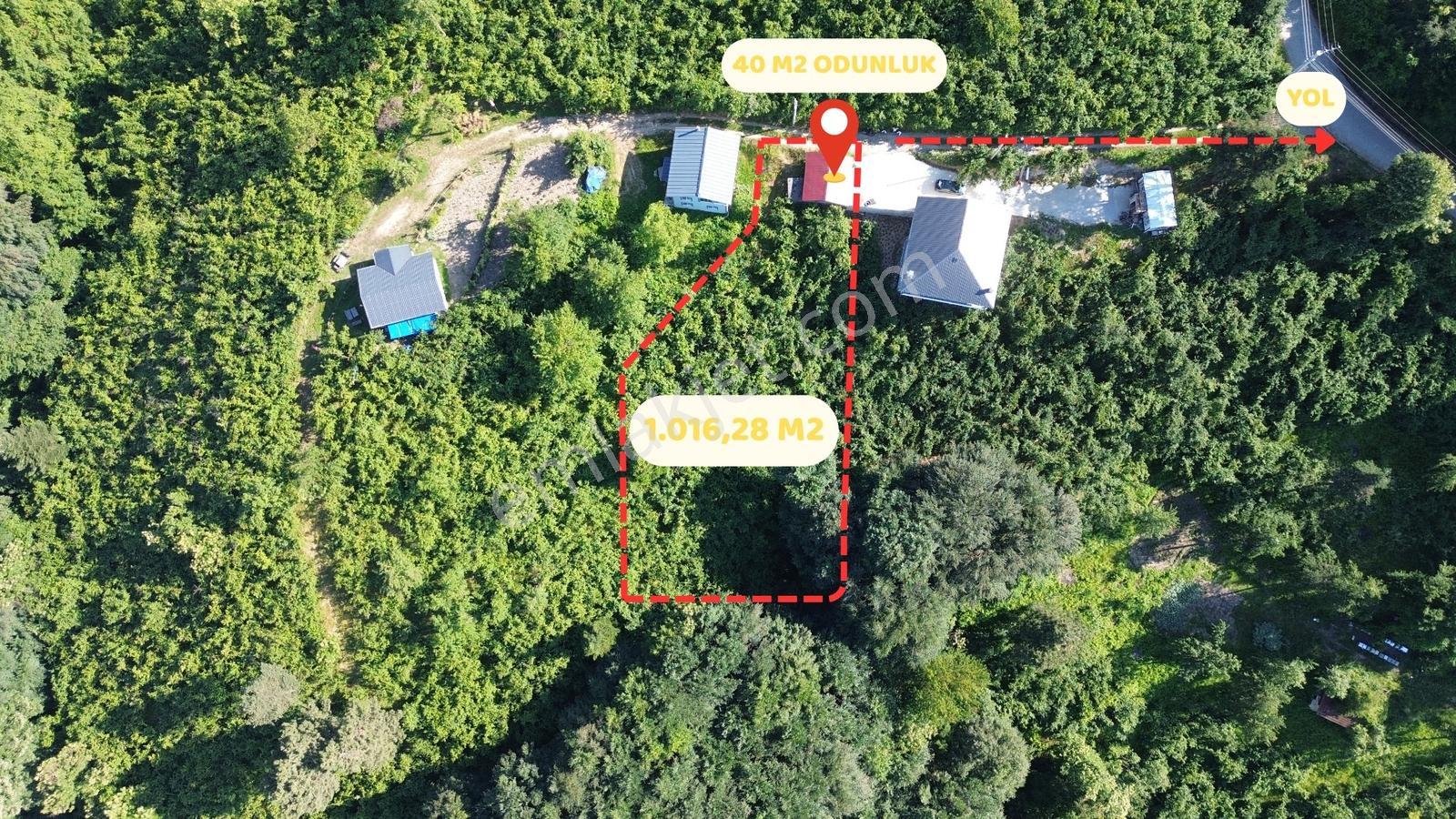 Acill!! | Kaynaşlı Eski Köy Mh Yatırmlık Manzaralı 1016 M2 Arsa — fotoğraf 2