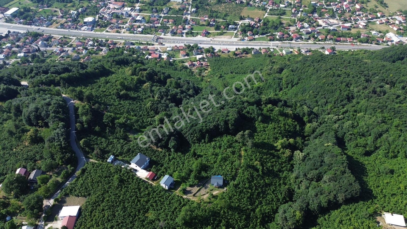Acill!! | Kaynaşlı Eski Köy Mh Yatırmlık Manzaralı 1016 M2 Arsa — fotoğraf 3