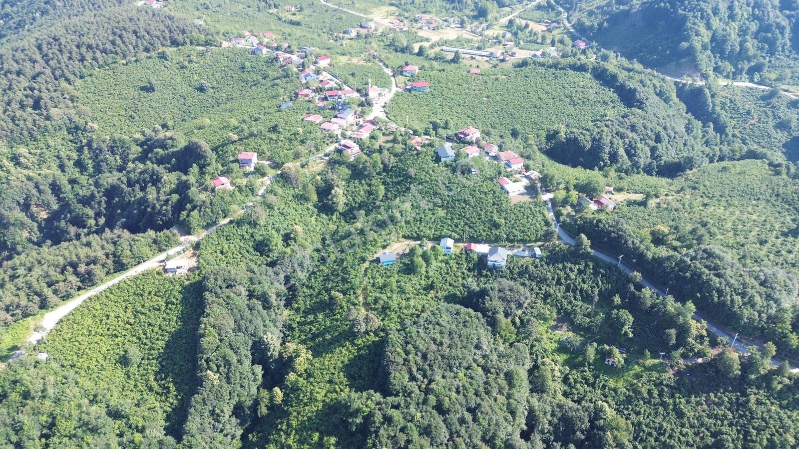 Acill!! | Kaynaşlı Eski Köy Mh Yatırmlık Manzaralı 1016 M2 Arsa — fotoğraf 4
