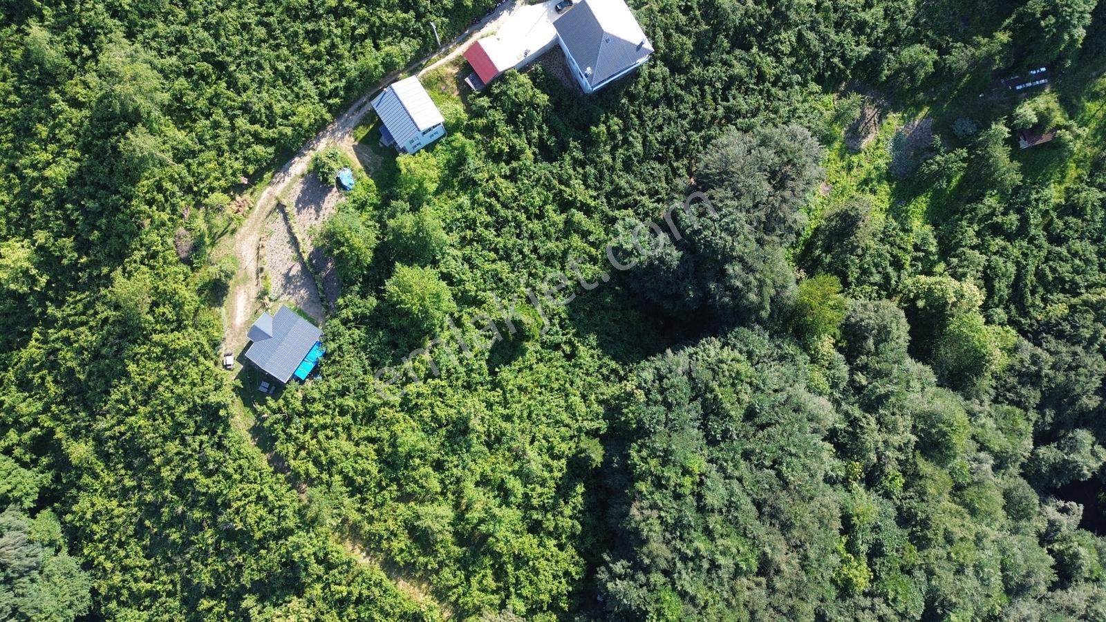 Acill!! | Kaynaşlı Eski Köy Mh Yatırmlık Manzaralı 1016 M2 Arsa — fotoğraf 5