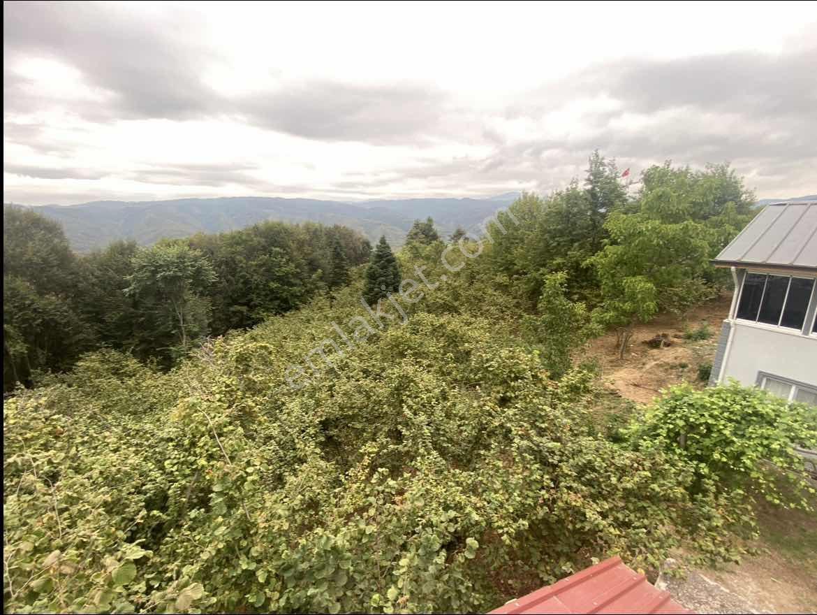 Acill!! | Kaynaşlı Eski Köy Mh Yatırmlık Manzaralı 1016 M2 Arsa — fotoğraf 6