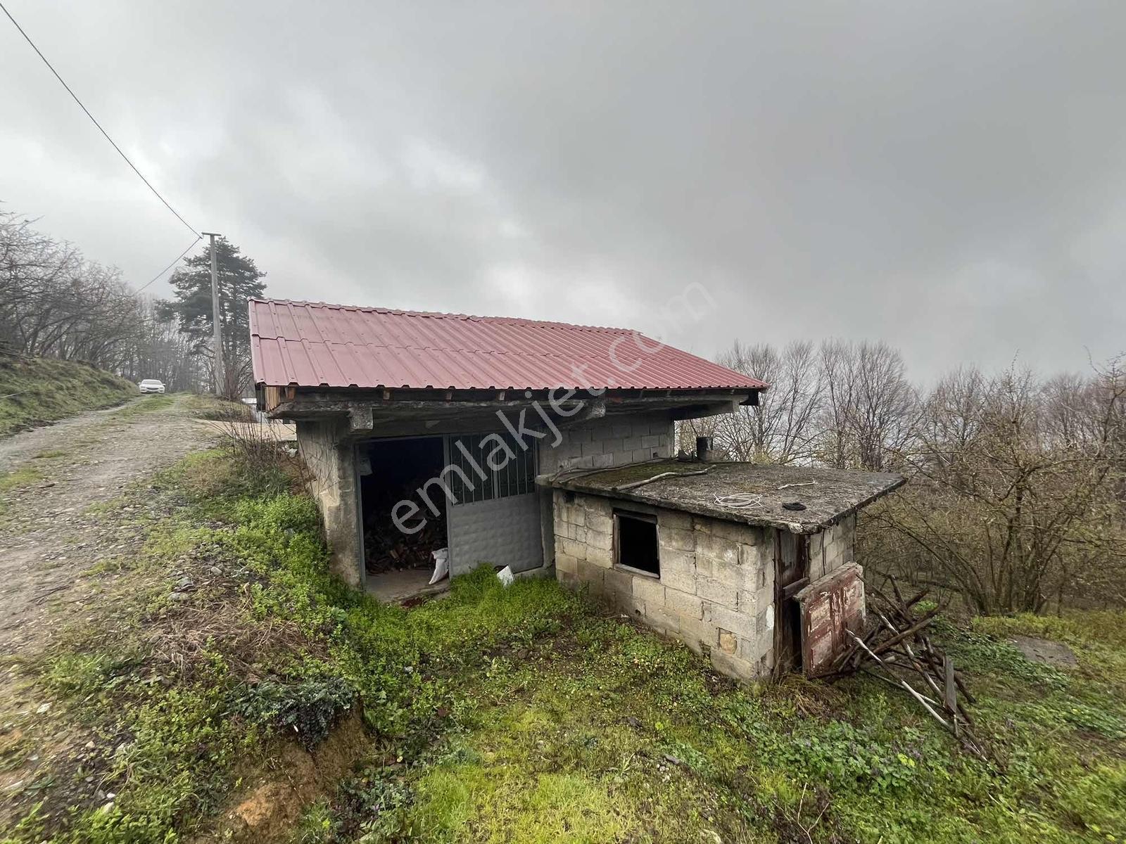 Acill!! | Kaynaşlı Eski Köy Mh Yatırmlık Manzaralı 1016 M2 Arsa — fotoğraf 7