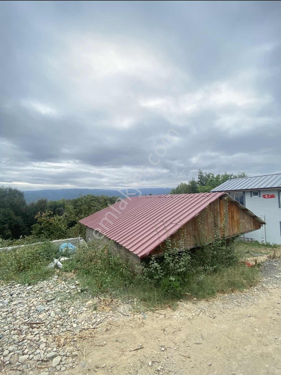 Acill!! | Kaynaşlı Eski Köy Mh Yatırmlık Manzaralı 1016 M2 Arsa — fotoğraf 8