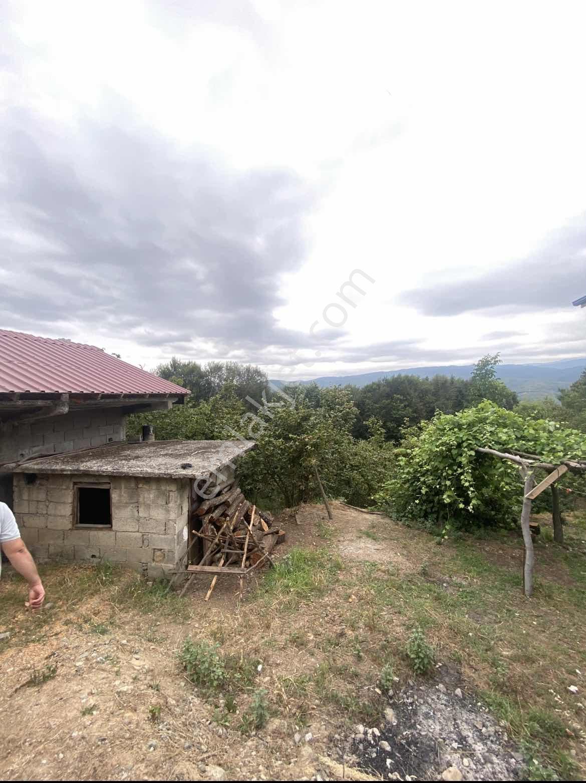Acill!! | Kaynaşlı Eski Köy Mh Yatırmlık Manzaralı 1016 M2 Arsa — fotoğraf 9