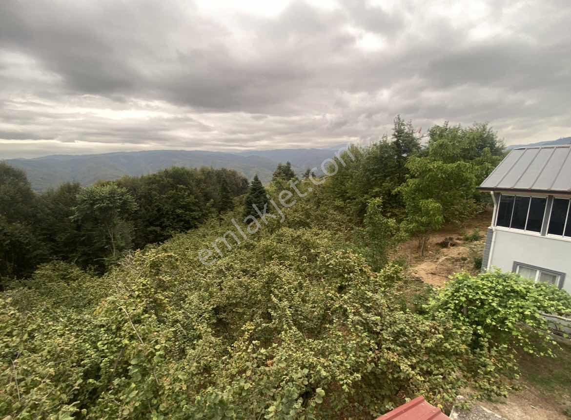 Acill!! | Kaynaşlı Eski Köy Mh Yatırmlık Manzaralı 1016 M2 Arsa — fotoğraf 10