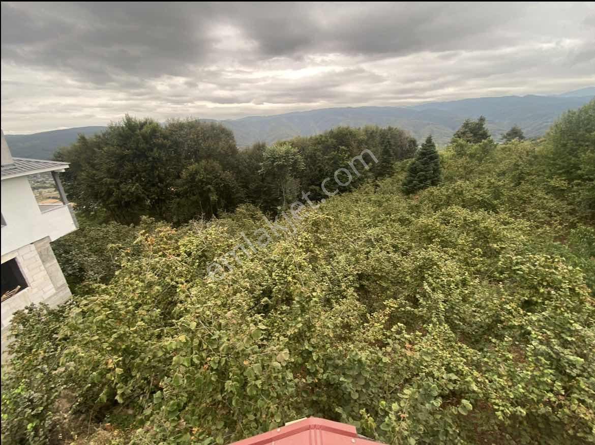 Acill!! | Kaynaşlı Eski Köy Mh Yatırmlık Manzaralı 1016 M2 Arsa — fotoğraf 11