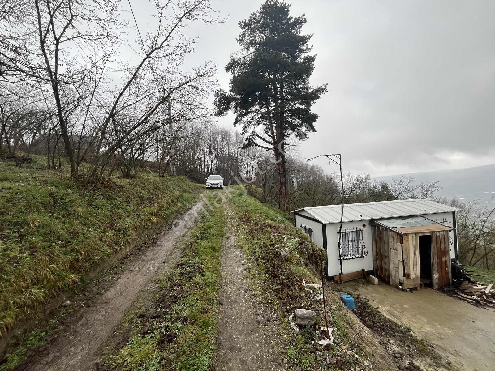 Acill!! | Kaynaşlı Eski Köy Mh Yatırmlık Manzaralı 1016 M2 Arsa — fotoğraf 15