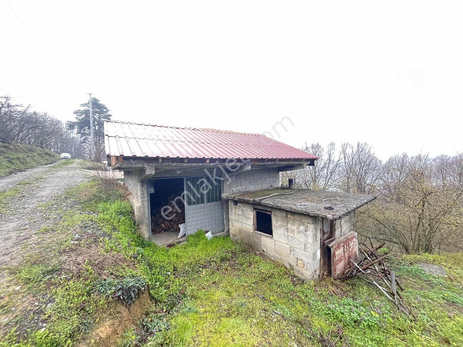 Acill!! | Kaynaşlı Eski Köy Mh Yatırmlık Manzaralı 1016 M2 Arsa — fotoğraf 17