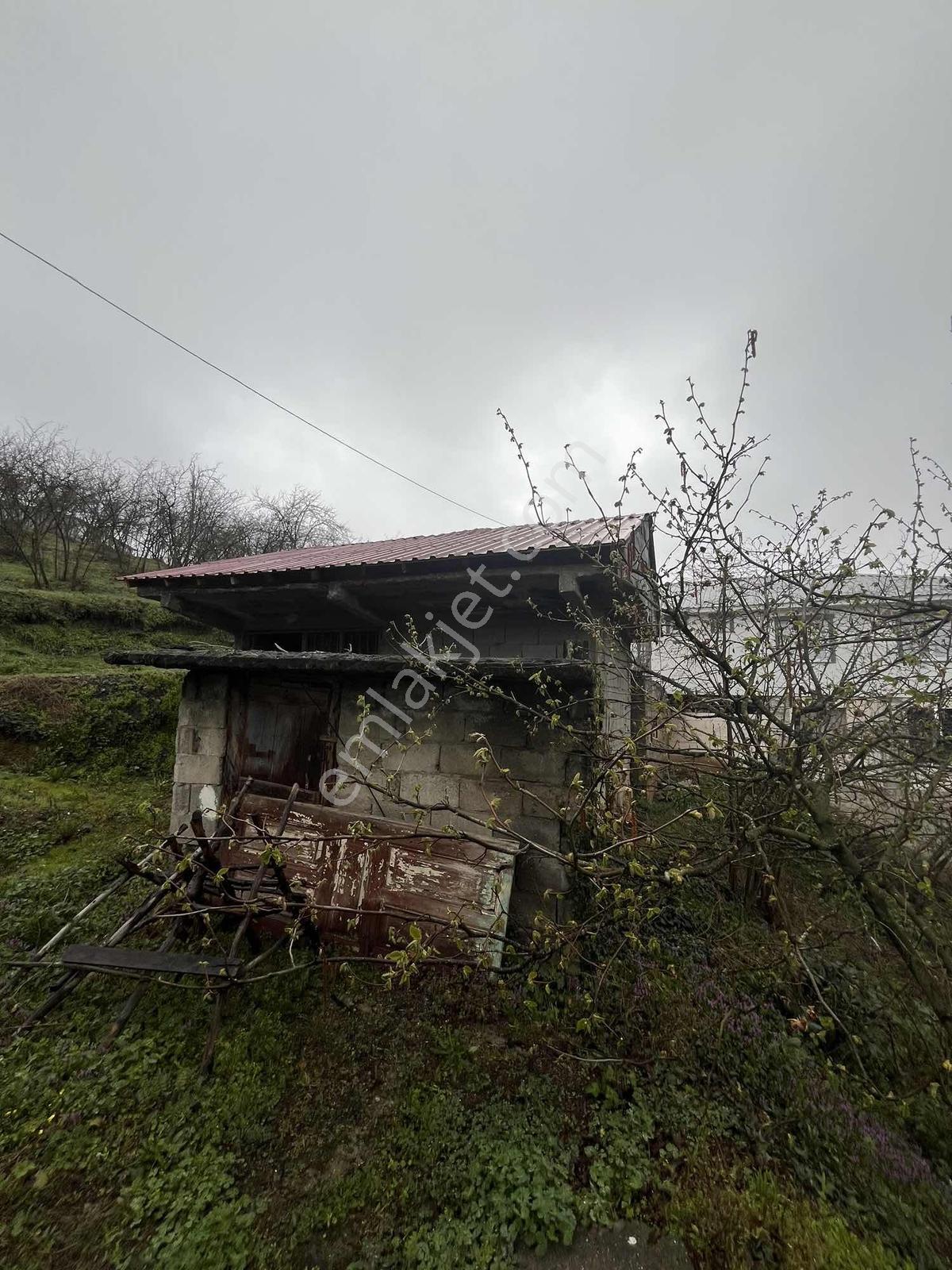 Acill!! | Kaynaşlı Eski Köy Mh Yatırmlık Manzaralı 1016 M2 Arsa — fotoğraf 18