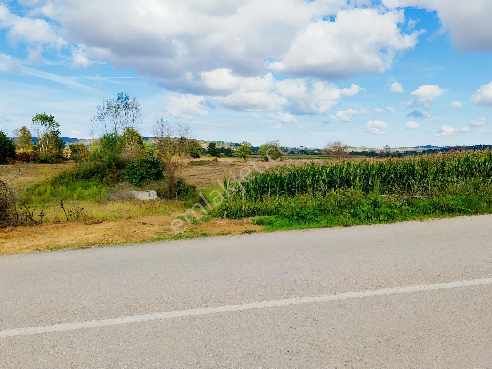 Kandıra Ya En Yakın Köy Süllü De 990 M2. Tarla
