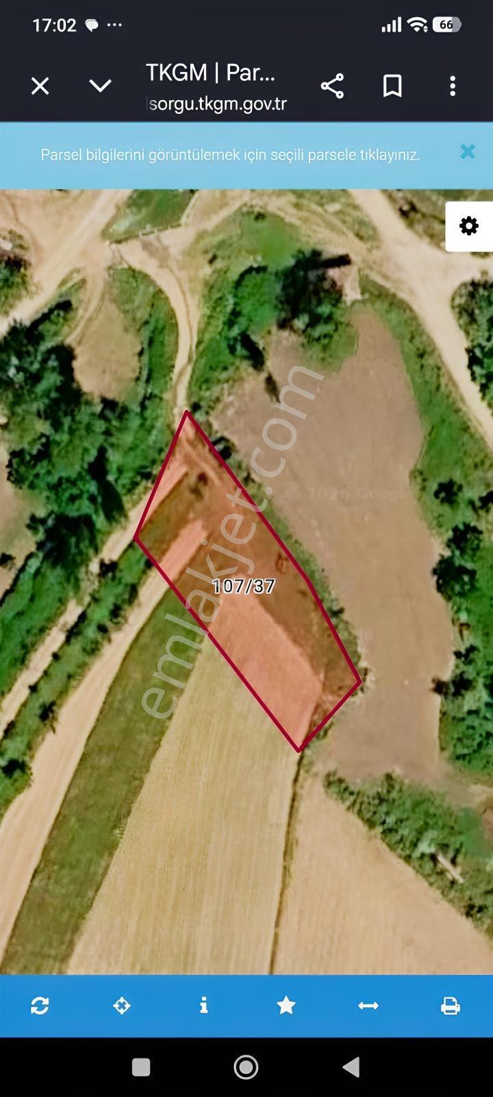 Edirne Çallıdere Köyünde Tek Tapu 1000 M2 Köy İçinde Uygun Fiyat — fotoğraf 4