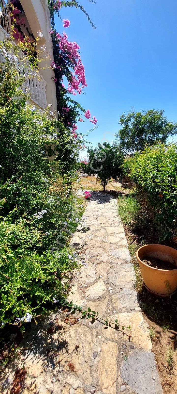 Muğla Bodrum Milas Boğaziçi Adabükü Manzaralı Büyük Bahçe — fotoğraf 21