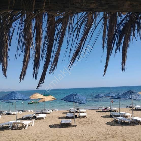 Muğla Bodrum Milas Boğaziçi Adabükü Manzaralı Büyük Bahçe — fotoğraf 33