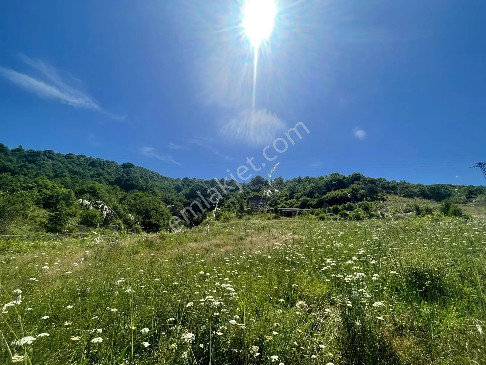 Yalova'da Doğa İle İç İçe Yaşam Fırsatı — fotoğraf 2