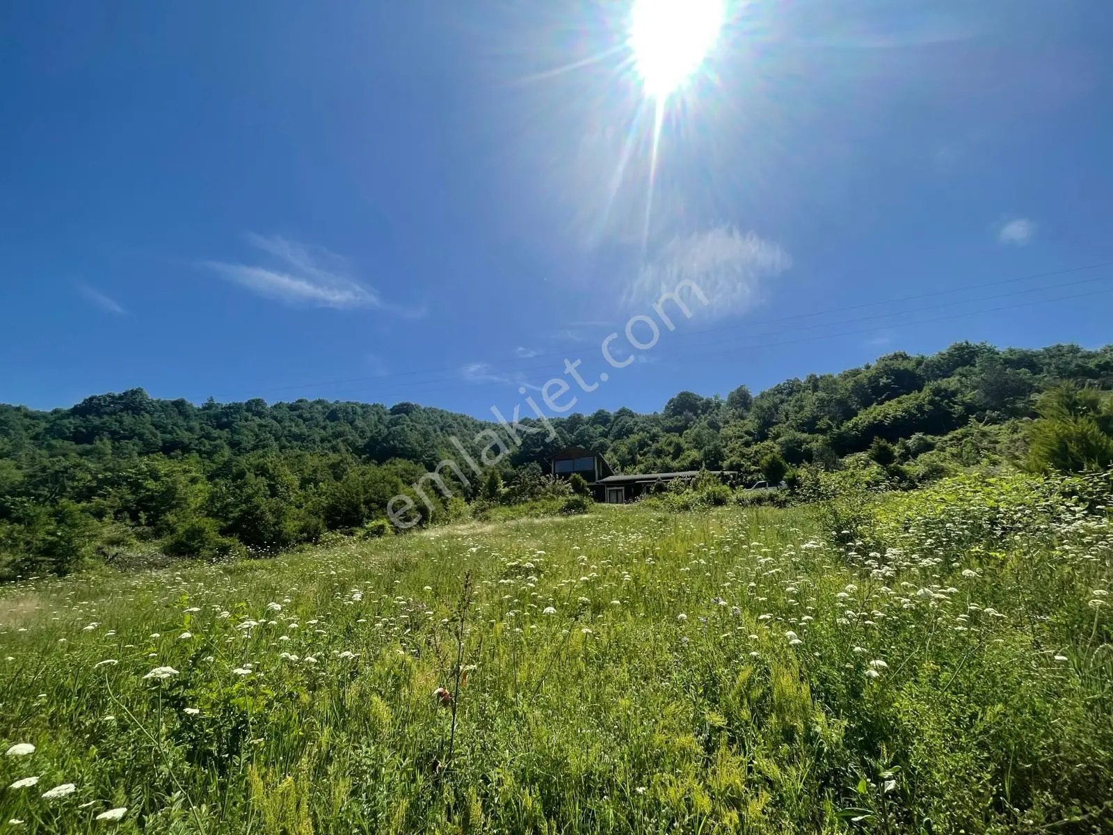 Yalova'da Doğa İle İç İçe Yaşam Fırsatı — fotoğraf 3