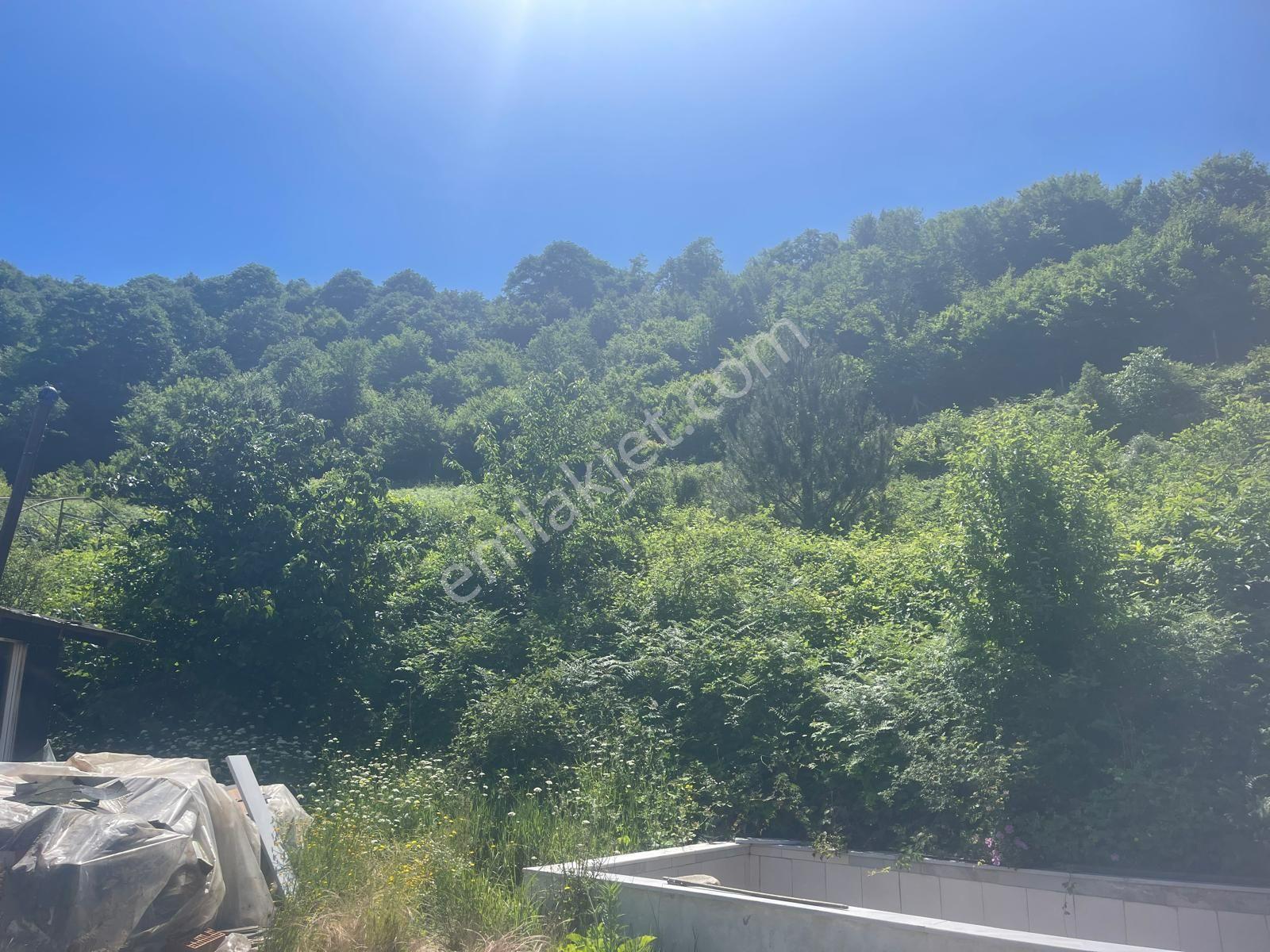 Yalova'da Doğa İle İç İçe Yaşam Fırsatı — fotoğraf 8