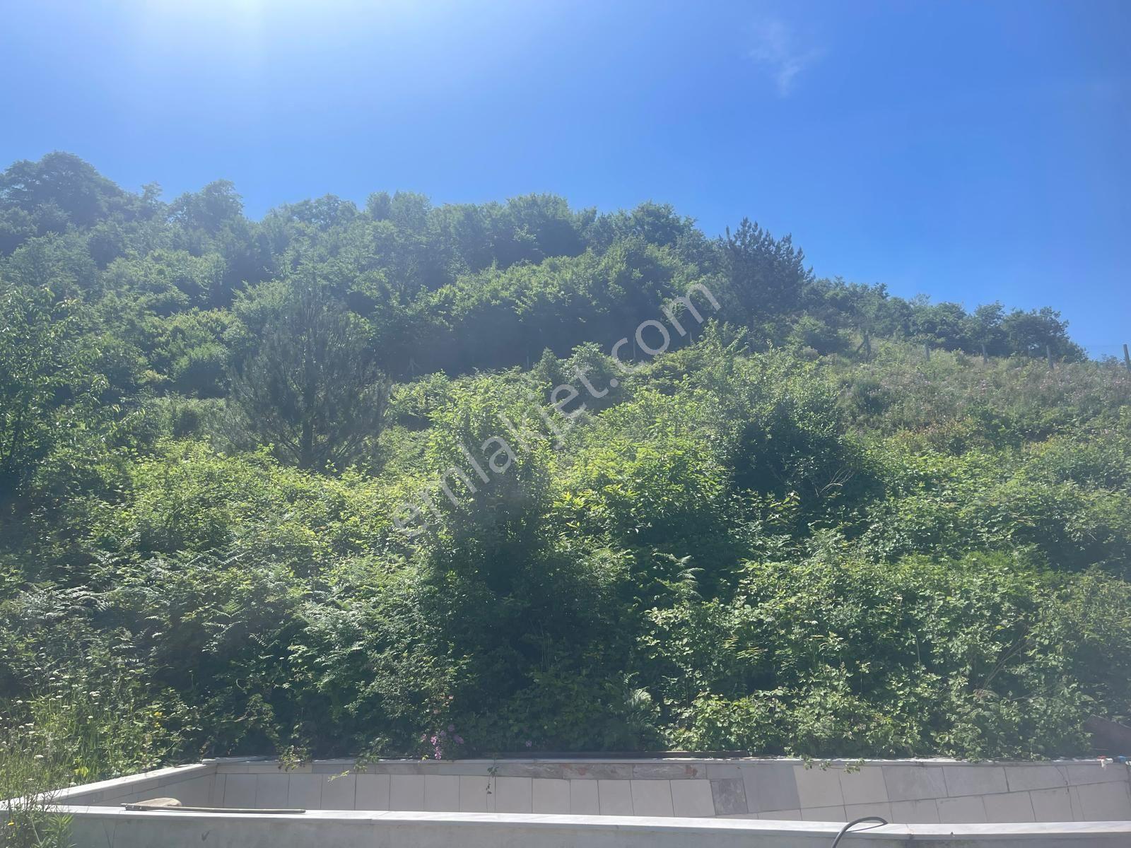 Yalova'da Doğa İle İç İçe Yaşam Fırsatı — fotoğraf 9