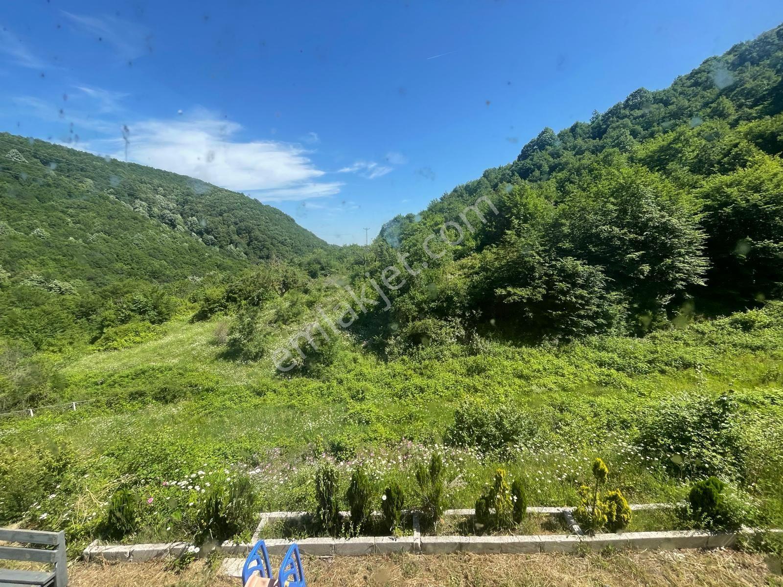 Yalova'da Doğa İle İç İçe Yaşam Fırsatı — fotoğraf 20