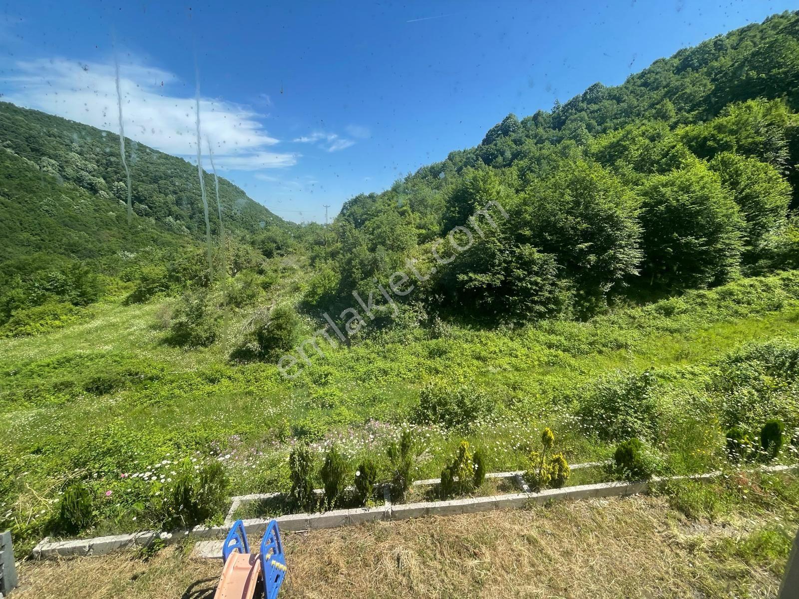 Yalova'da Doğa İle İç İçe Yaşam Fırsatı — fotoğraf 21