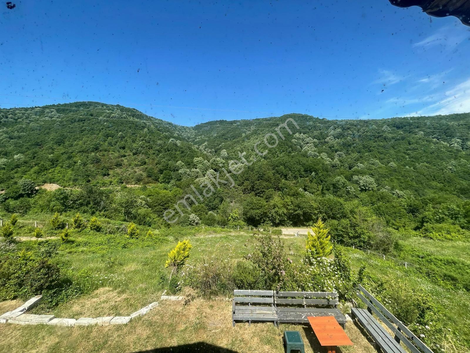 Yalova'da Doğa İle İç İçe Yaşam Fırsatı — fotoğraf 22