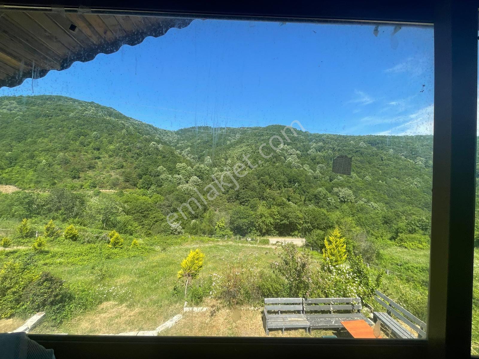 Yalova'da Doğa İle İç İçe Yaşam Fırsatı — fotoğraf 23