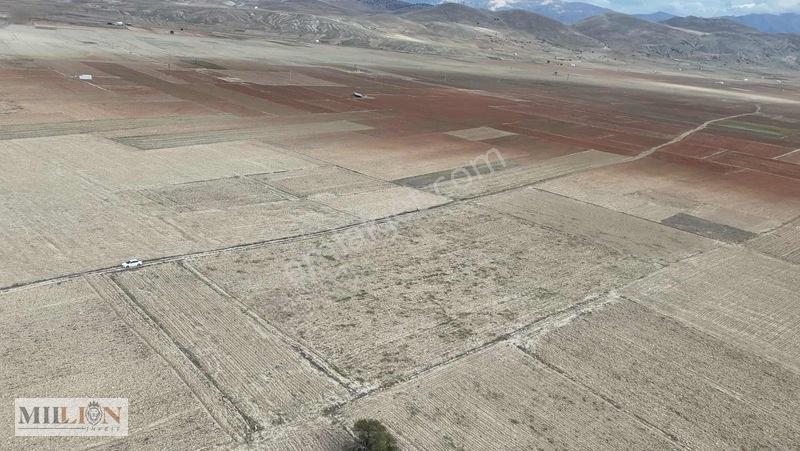 Korkuteli Beğişte 8.912 M² Satılık Tarla Ana Yola Yakın Yatırım — fotoğraf 14