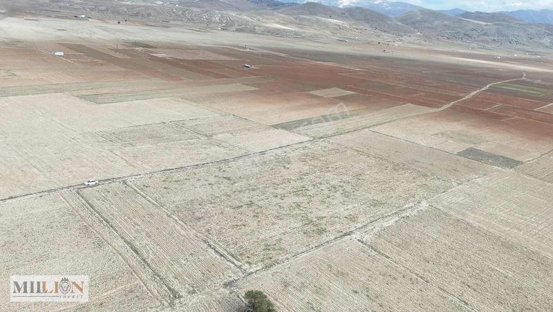 Korkuteli Beğişte 8.912 M² Satılık Tarla Ana Yola Yakın Yatırım — fotoğraf 15