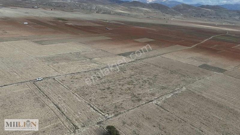 Korkuteli Beğişte 8.912 M² Satılık Tarla Ana Yola Yakın Yatırım — fotoğraf 18