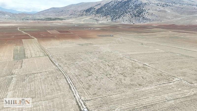 Korkuteli Beğişte 8.912 M² Satılık Tarla Ana Yola Yakın Yatırım — fotoğraf 19