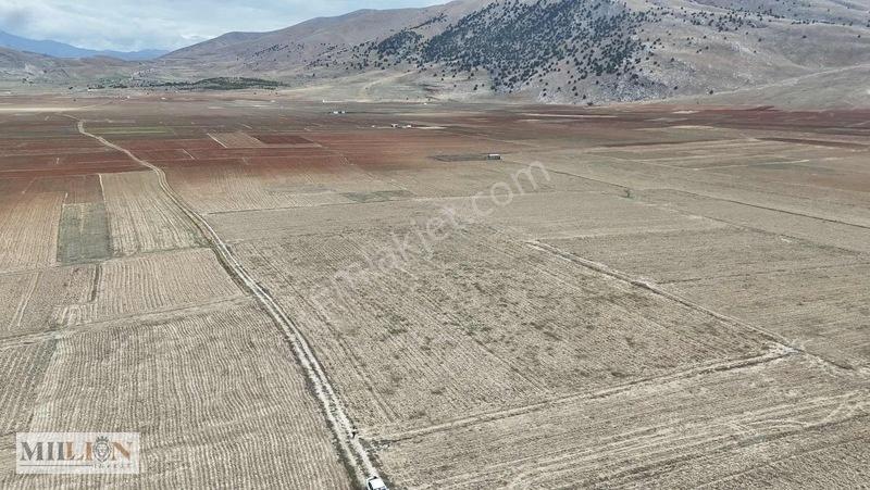 Korkuteli Beğişte 8.912 M² Satılık Tarla Ana Yola Yakın Yatırım — fotoğraf 20