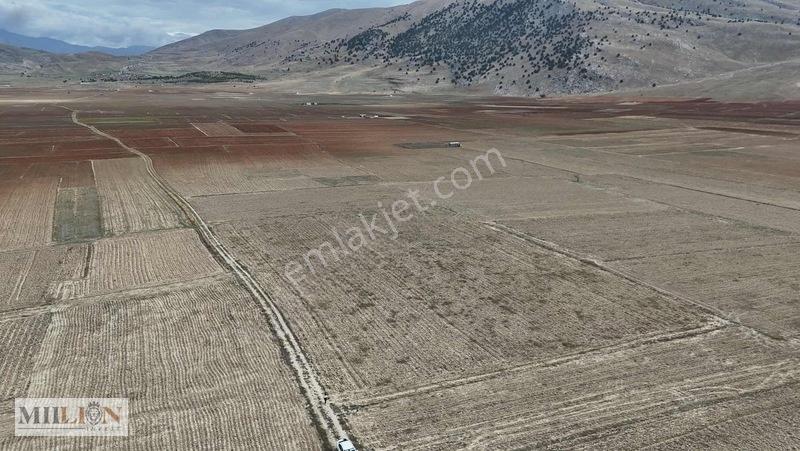 Korkuteli Beğişte 8.912 M² Satılık Tarla Ana Yola Yakın Yatırım — fotoğraf 21
