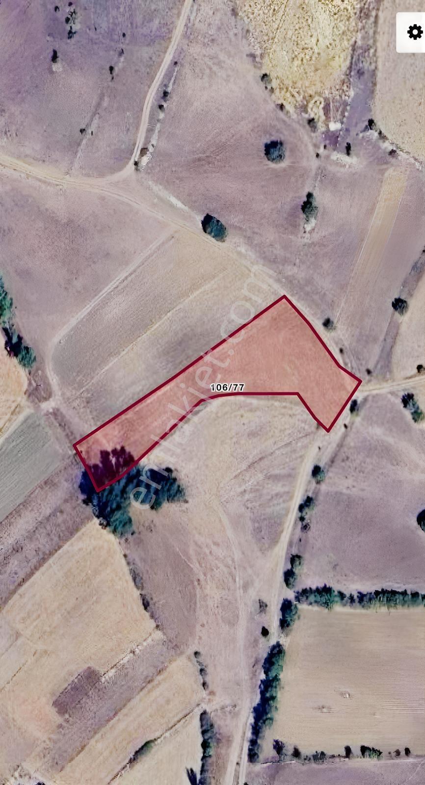 Turhal Ulutepe De 3.258 M2 Tek Tapu Arazi — fotoğraf 2