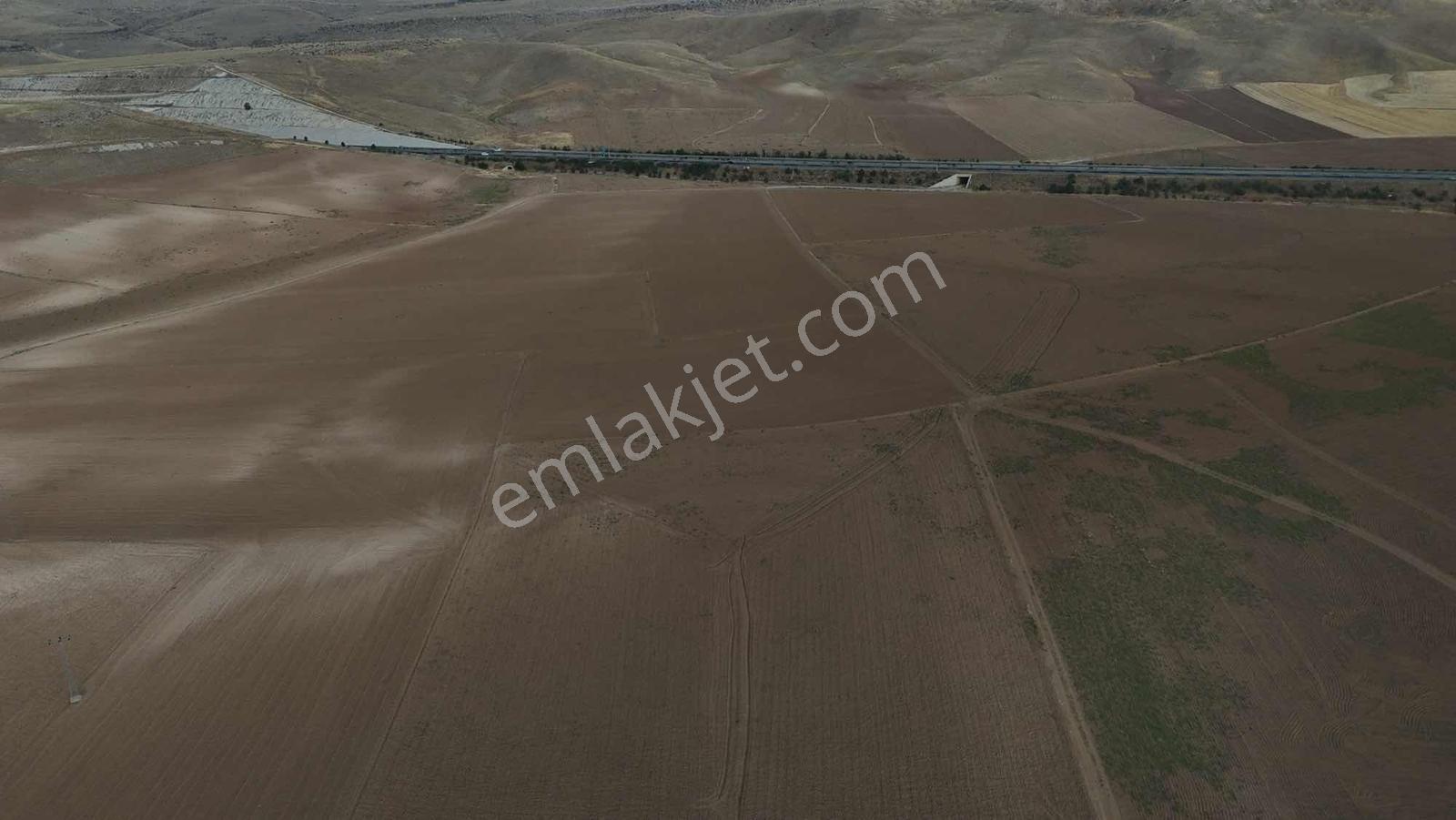 Emin Emlak Bor Havuzlu 20 Dönüm Satılık Arazi