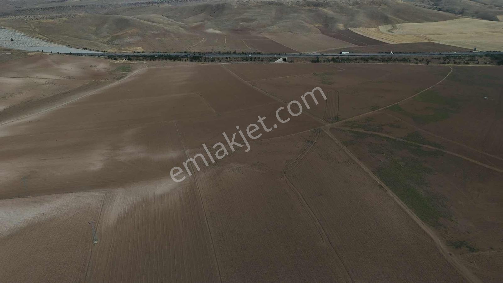 Emin Emlak Bor Havuzlu 20 Dönüm Satılık Arazi — fotoğraf 3
