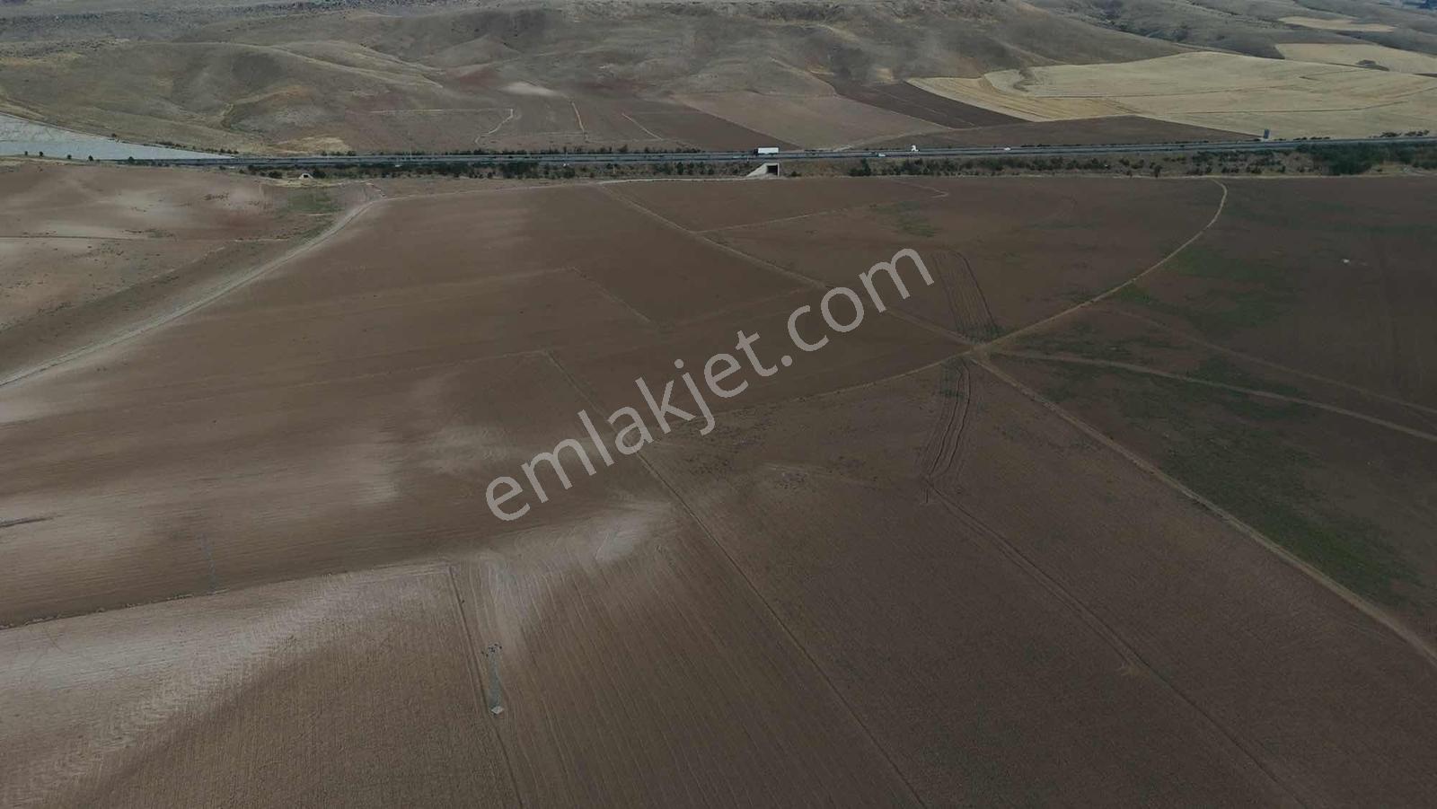 Emin Emlak Bor Havuzlu 20 Dönüm Satılık Arazi — fotoğraf 4