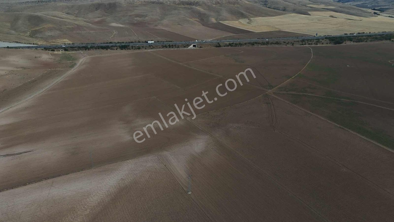 Emin Emlak Bor Havuzlu 20 Dönüm Satılık Arazi — fotoğraf 5