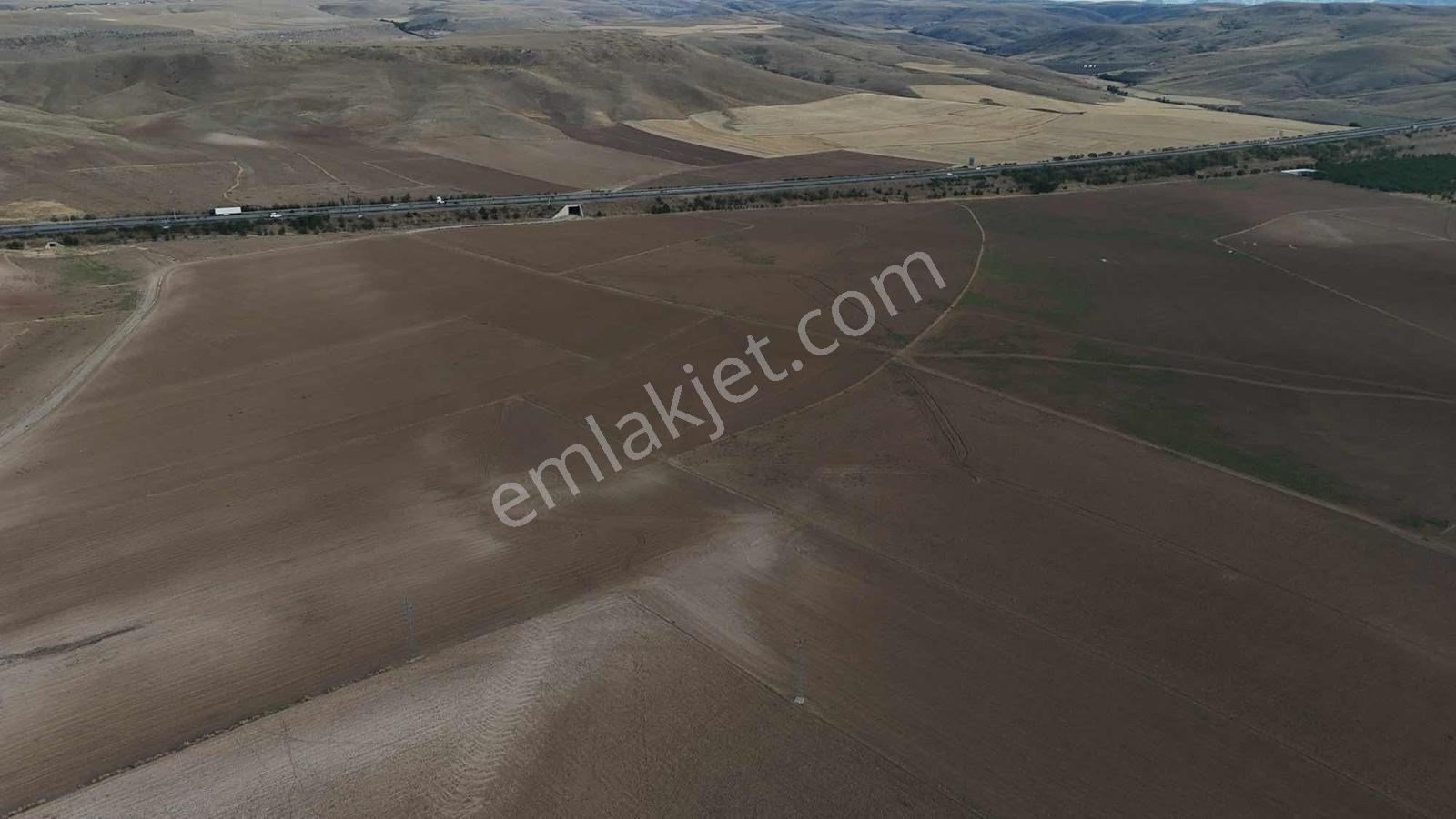 Emin Emlak Bor Havuzlu 20 Dönüm Satılık Arazi — fotoğraf 6