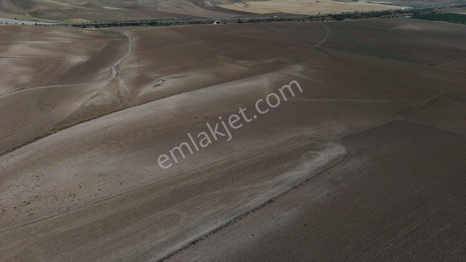 Emin Emlak Bor Havuzlu 20 Dönüm Satılık Arazi — fotoğraf 7