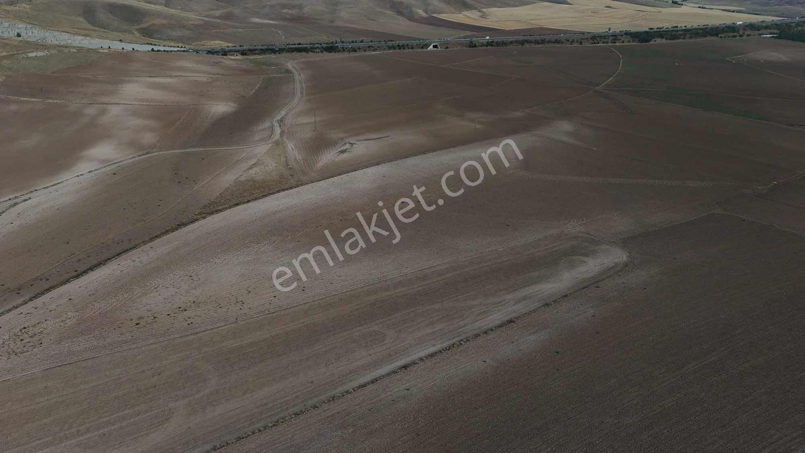 Emin Emlak Bor Havuzlu 20 Dönüm Satılık Arazi — fotoğraf 8