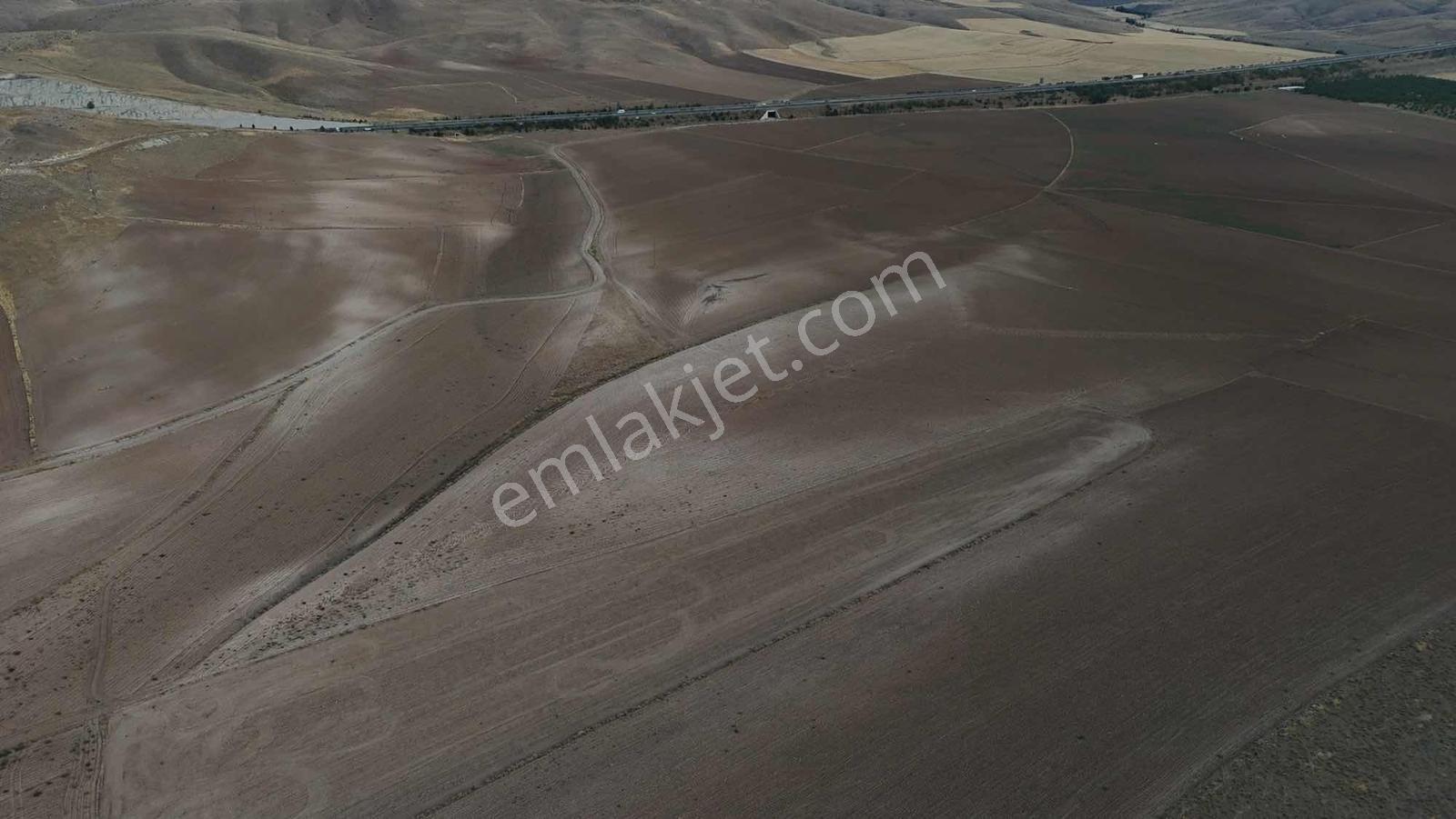 Emin Emlak Bor Havuzlu 20 Dönüm Satılık Arazi — fotoğraf 10