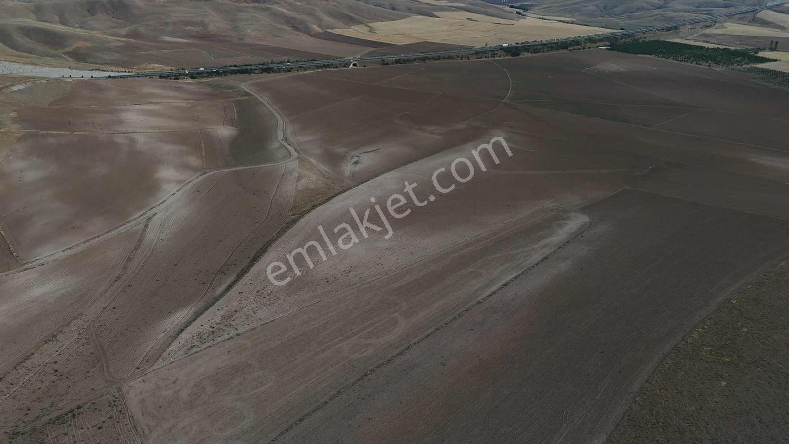 Emin Emlak Bor Havuzlu 20 Dönüm Satılık Arazi — fotoğraf 11