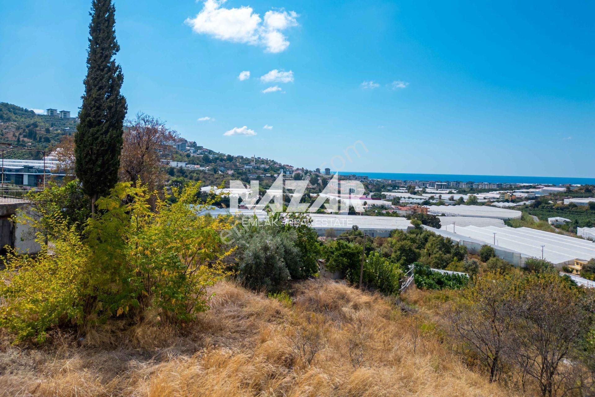 Alanya Kargıcak’ta Deniz Manzaralı 1.002 M2 İmarlı Arsa — fotoğraf 13