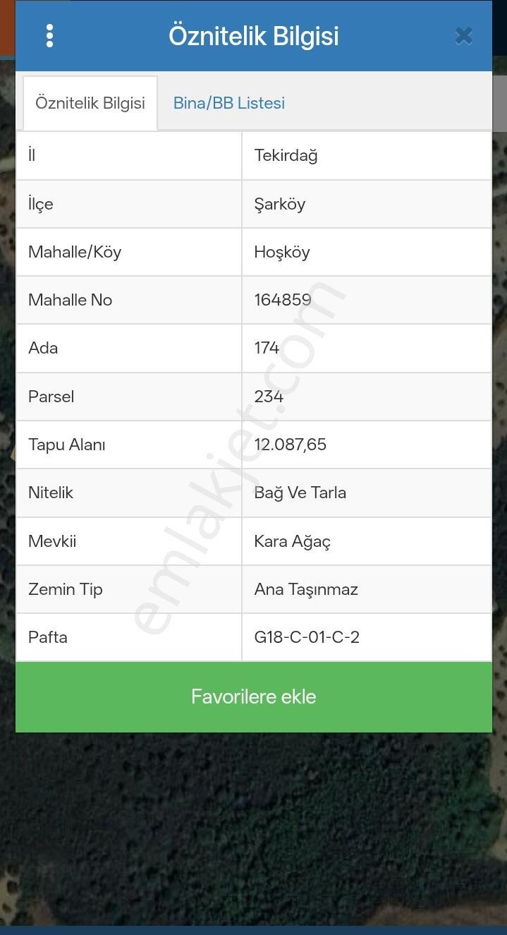 Tekirdağ Şarköy Hoşköy 4000 M2 Zeytinlik — fotoğraf 3
