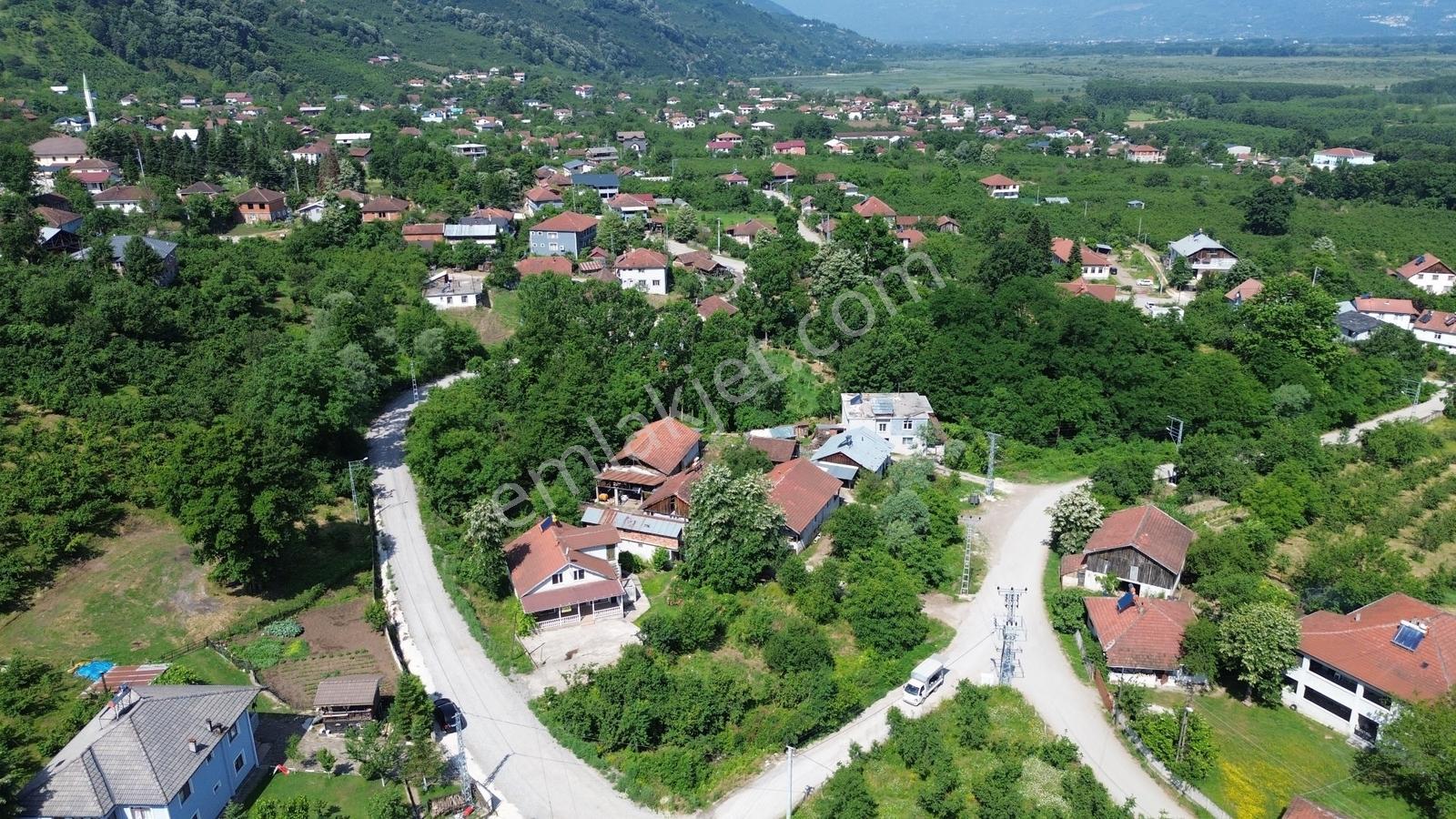 Asil Emlak | Gölormanı Köyü 1 Dönüm Asra Ve Müstakil Ev — fotoğraf 6