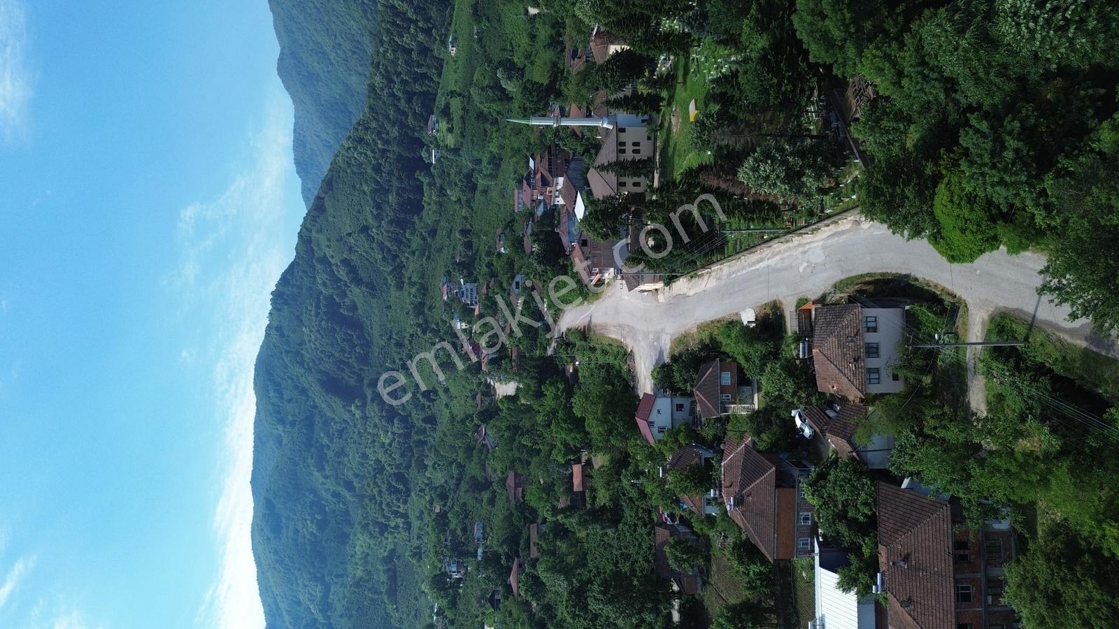 Asil Emlak | Gölormanı Köyü 1 Dönüm Asra Ve Müstakil Ev — fotoğraf 7