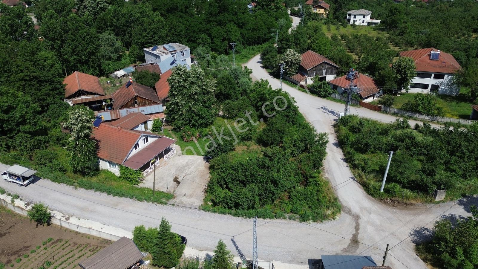 Asil Emlak | Gölormanı Köyü 1 Dönüm Asra Ve Müstakil Ev — fotoğraf 9