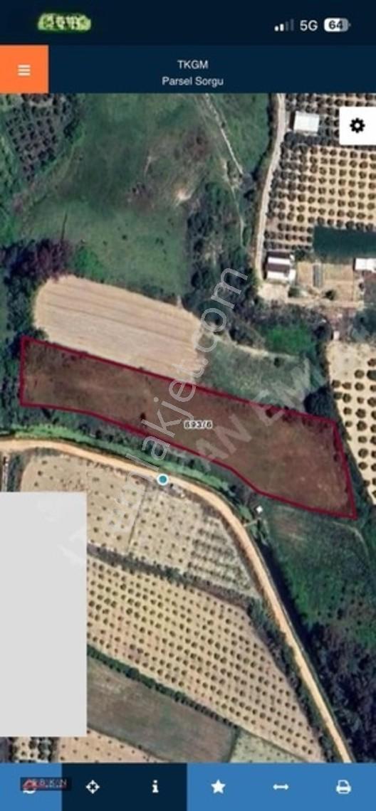 Çolaklıda 5.758 M² Müstakil Tapulu Tarla — fotoğraf 2