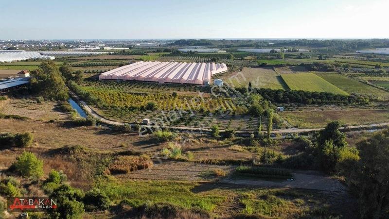 Çolaklıda 5.758 M² Müstakil Tapulu Tarla — fotoğraf 3