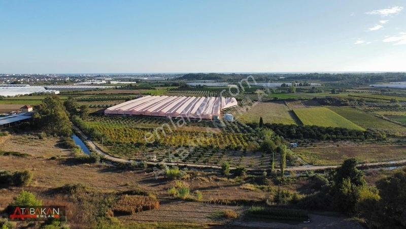 Çolaklıda 5.758 M² Müstakil Tapulu Tarla — fotoğraf 4