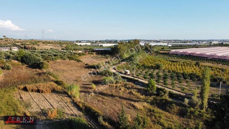 Çolaklıda 5.758 M² Müstakil Tapulu Tarla — fotoğraf 5